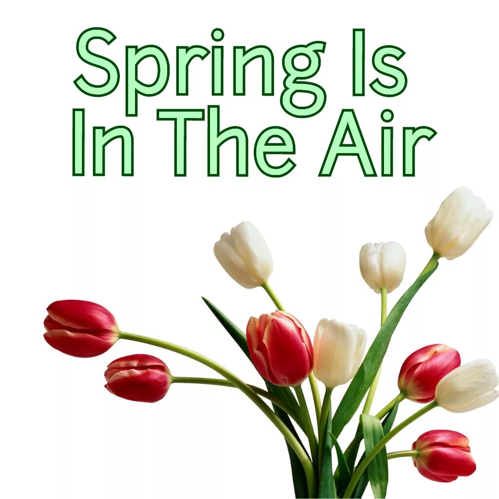 Spring is here goodbye snow. In the air цветы. spring is in the air. spring is. spring is here in the air стих.