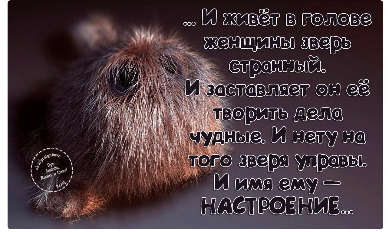 В голове живет другой человек. Цитаты про настроение женщины. Цитаты о настроении человека. Женское настроение цитаты. Статусы про настроение.