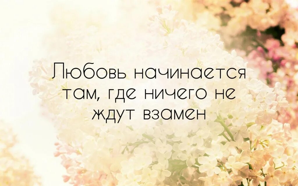 и встретишь ты когда. там где нет любви. там где любовь там жизнь. настоящая любовь это когда. любовь это терпение.
