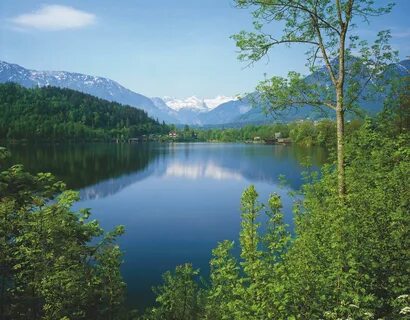 Lake картинка