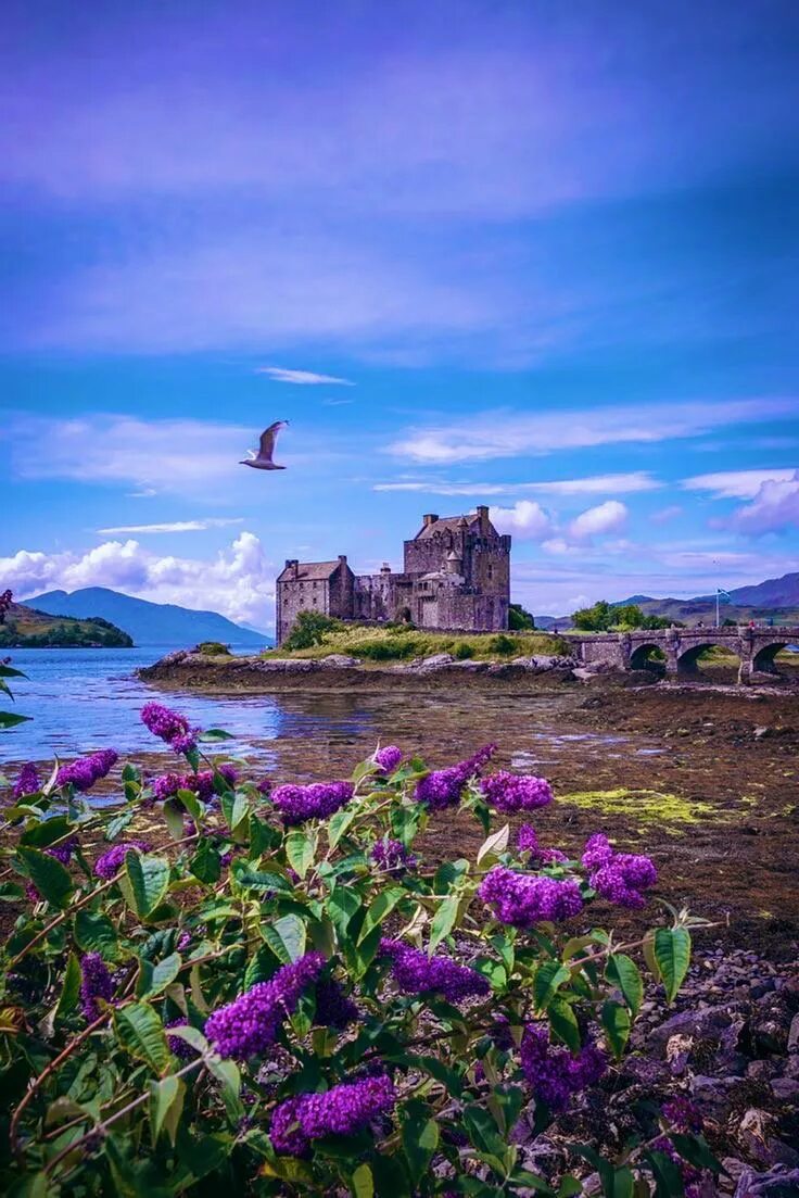 Scotland is beautiful. Шотландия природа Эдинбург. Кирримьюр Шотландия. Замок на острове Скай в Шотландии. Холландстаун Шотландия.