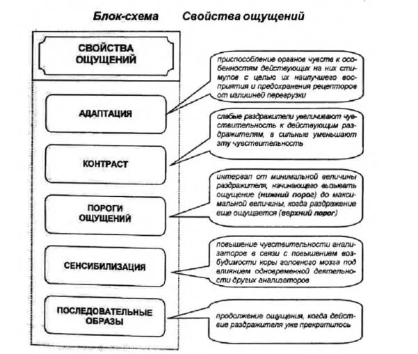 Свойства процесса ощущений. Основные свойства ощущений таблица в психологии. Общие свойства ощущений схема. Схему, отражающую основные свойства ощущений. Свойства ощущений в психологии.