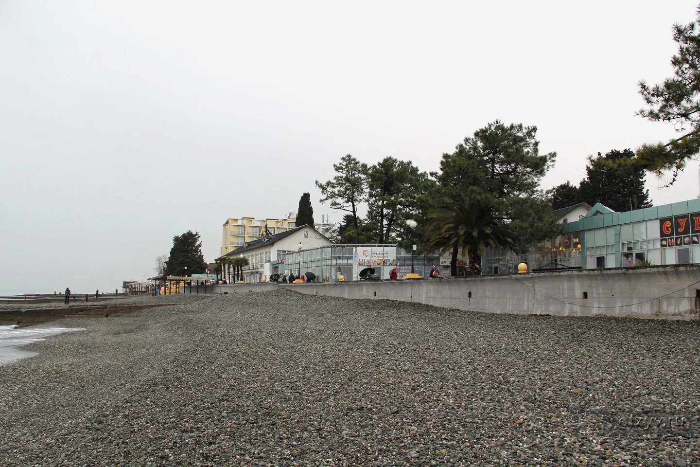 Адлер сочи чкаловский район. Адлер чкалова пляж. Совхоз чкаловский сочи. Пляж чкаловский сочи фото. Чкаловский пляж барракуда.