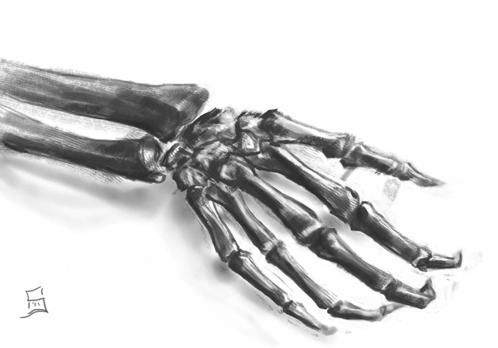 Skeleton hands