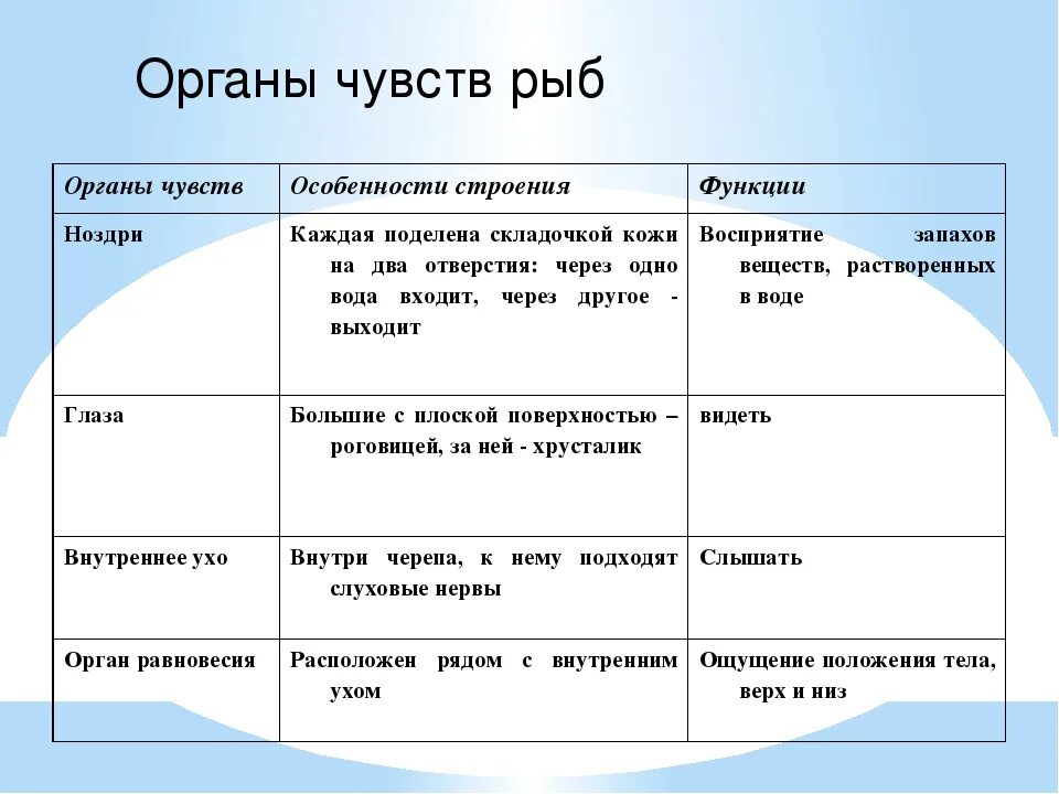 7 кл биология таблица внутреннее строение рыб. Функции органов рыб. Таблица по биологии 7 класс внутреннее строение рыб. Органы чувств рыбы таблица 7 класс биология. Органы чувств человека и их функции.