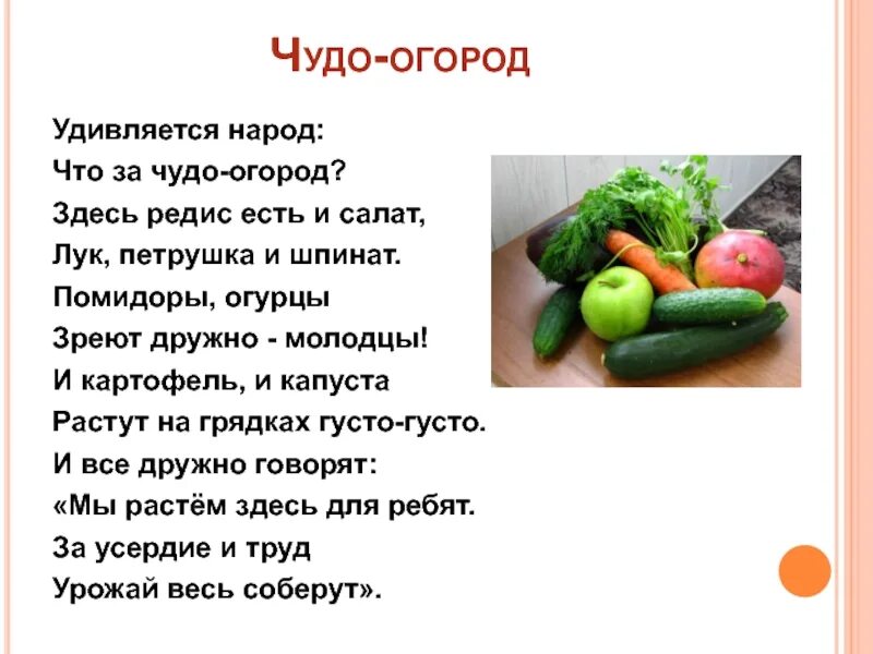 Слова песни огурец