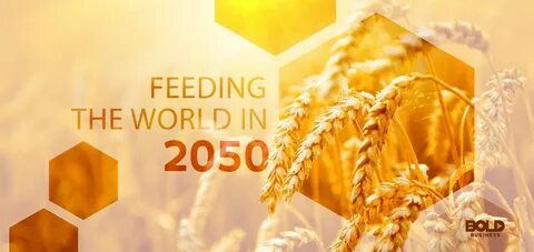 2050 евро