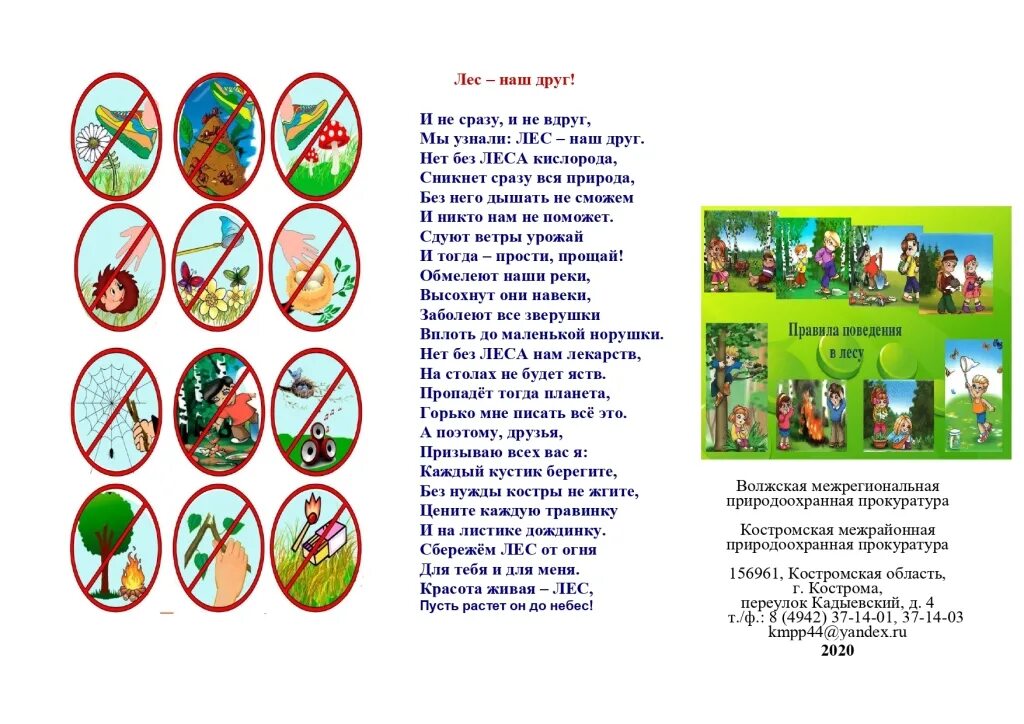 правила цифрового поведения. правила цифрового поведения. безопасные правила цифрового поведения 9 класс. правила безопасного поведения в интернете. безопасность девушек обж 9 класс.