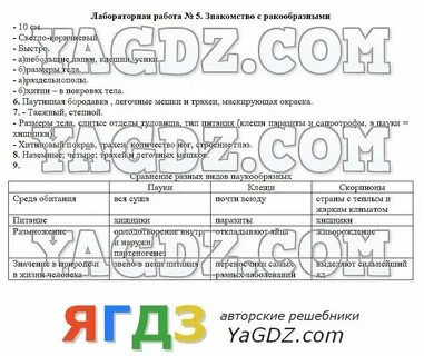 Практическая работа номер 4 биология 8 класс