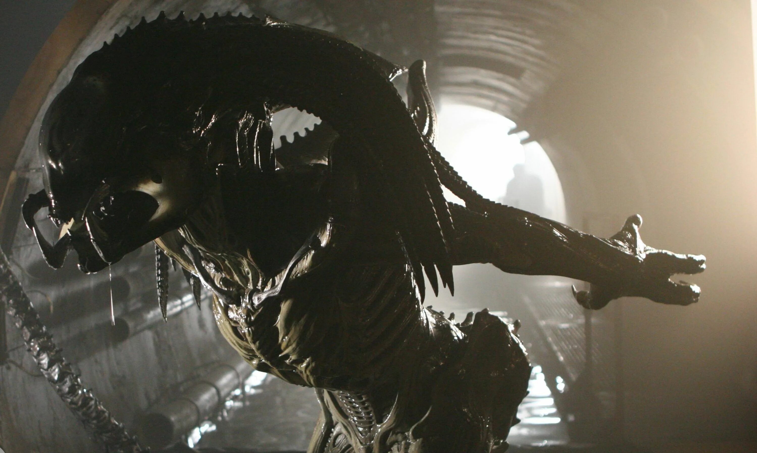 Aliens vs predator requiem. Чужой против хищника предалиен. Чужие против хищника Реквием 2007 предалиен. Чужой против хищника Реквием предалиен.