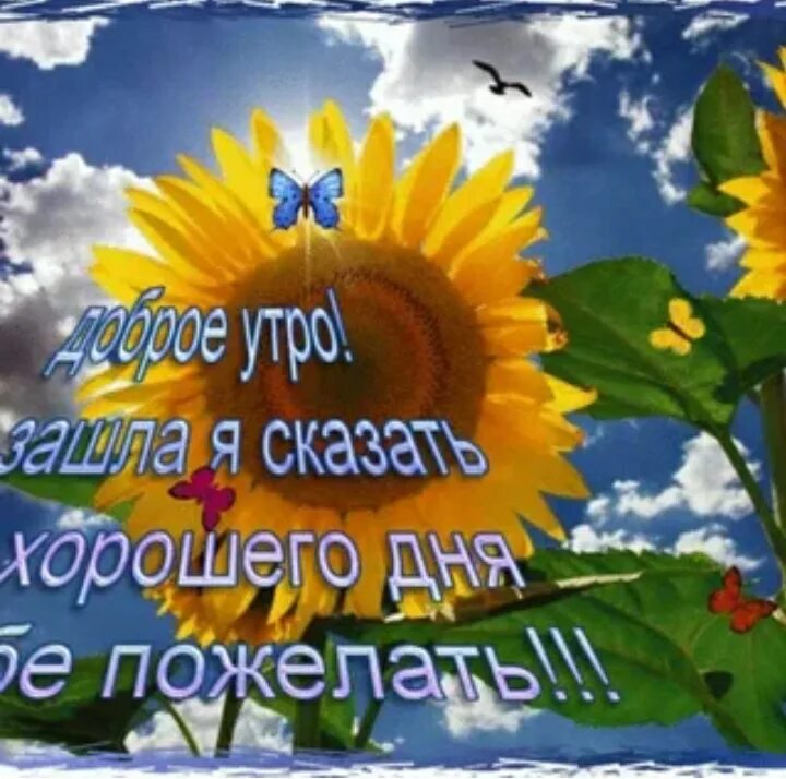 Пожелания мирного доброго утра небо над головой. Доброго солнечного дня. Солнце с добрыми пожеланиями. Добрый день солнышко. Солнечный день.