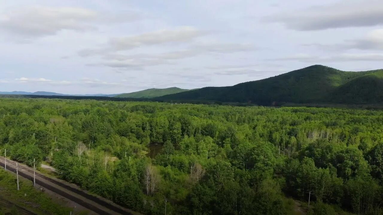 Погода п березовый. Станция Постышево поселок березовый. П березовый солнечного района Хабаровского края. Посёлок берёзовый Хабаровский край Солнечный район. Станция Постышево Хабаровский край.