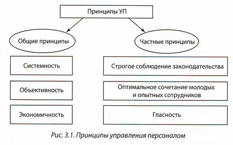 Общий персонал это