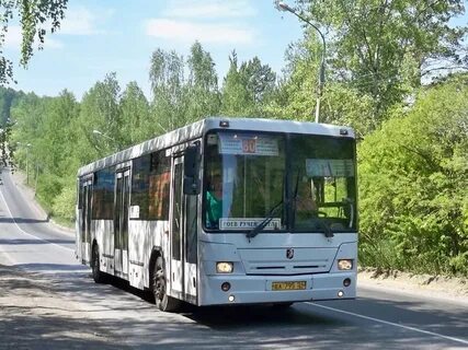 Гос автобусы