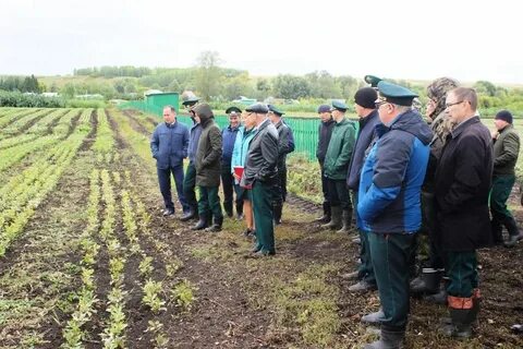 Новости районов татарстана