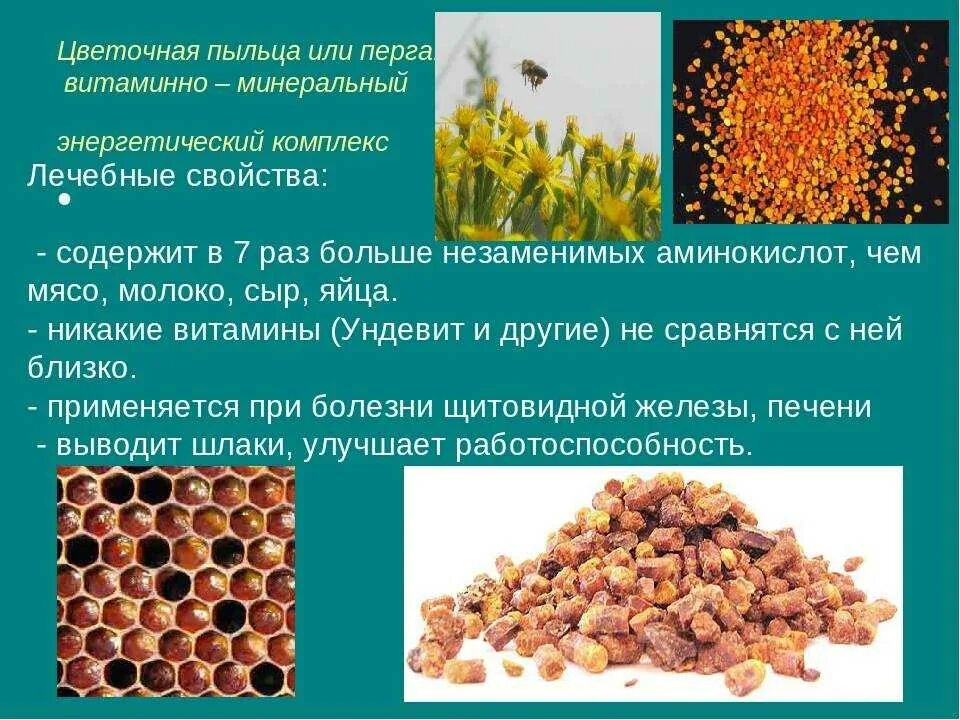 Перга пчелиная 100 гр. Перга полезные св- ва. Польза перги для человека. Польза перги для человека. Пчелиная перга лечебные.