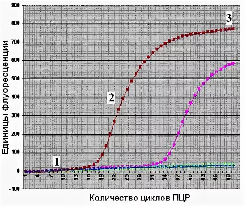 Тест реального времени. Кривая ПЦР В реальном времени. График ПЦР В реальном времени. Пороговый цикл ПЦР. Сколько циклов в ПЦР.