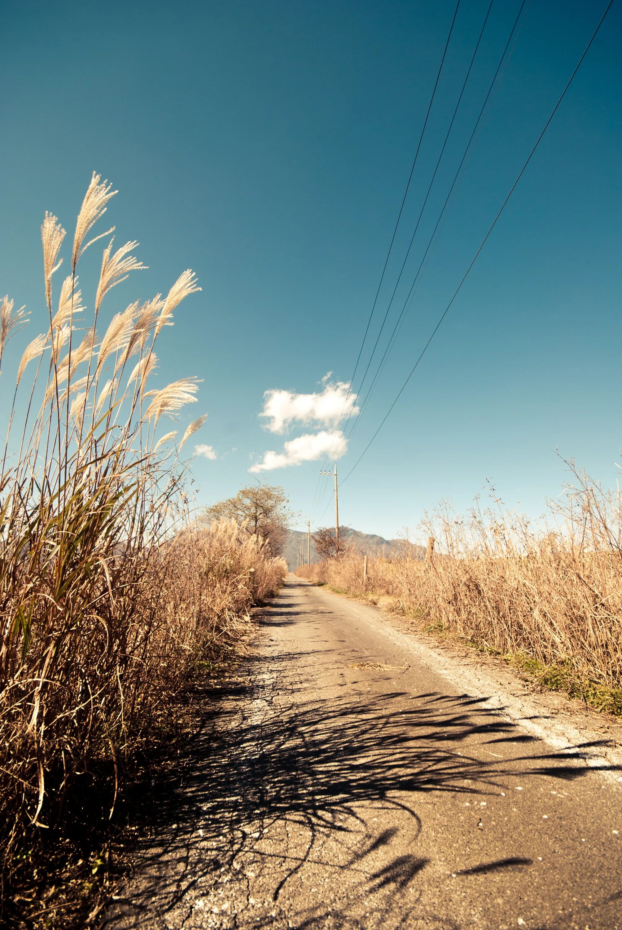Path road way