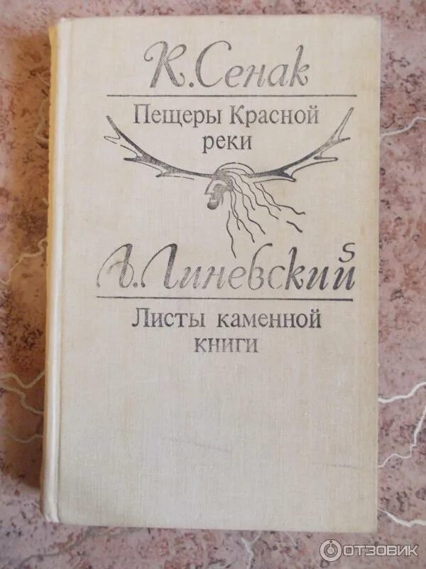 Красные реки книга. Книга пещера. Red river мужские. Красная река манга. Красные реки книга.