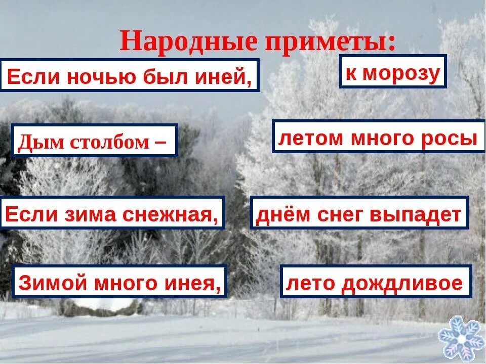 Приметы на зимнюю тему. Приметы зимы. Приметы зимние приметы. Народные приметы зимой. Три народные приметы о зиме.