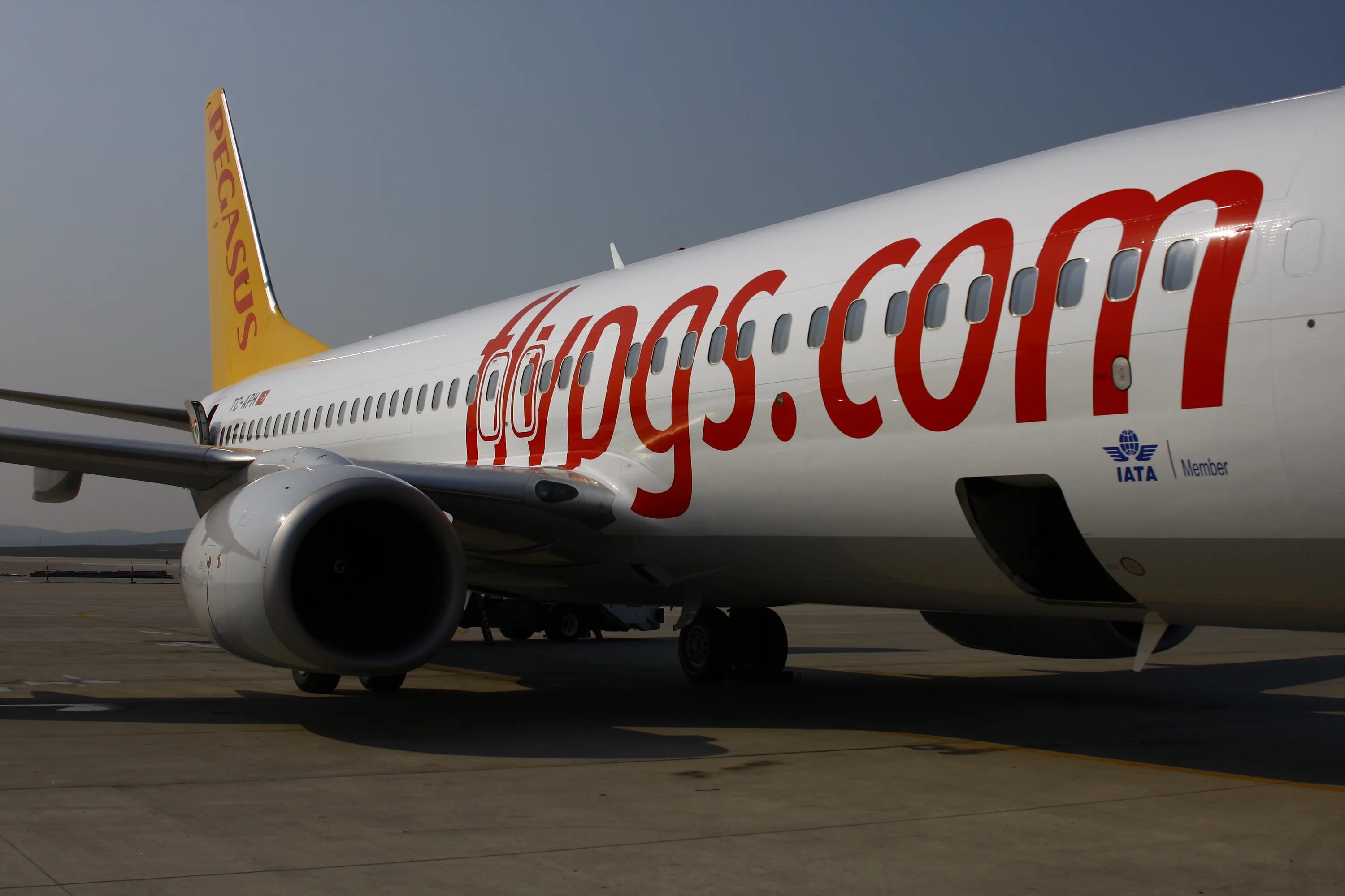 Pegasus Airlines авиакомпании Турции. Пегасус турецкие авиалинии. Пегасус Эйрлайнс самолеты. Лоукостер Pegasus Airlines. Pegasus авиакомпания сайт