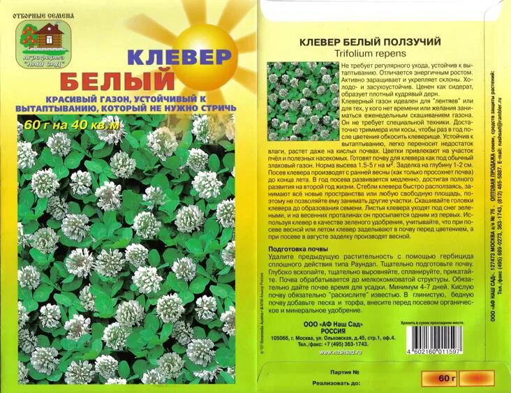 Клевер какая почва. Клевер белый. Клевер белый ползучий. Семена белого клевера. Семена клевера белого ползучего для газонов.