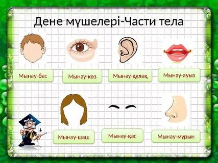 Монахтардың секс видеосы