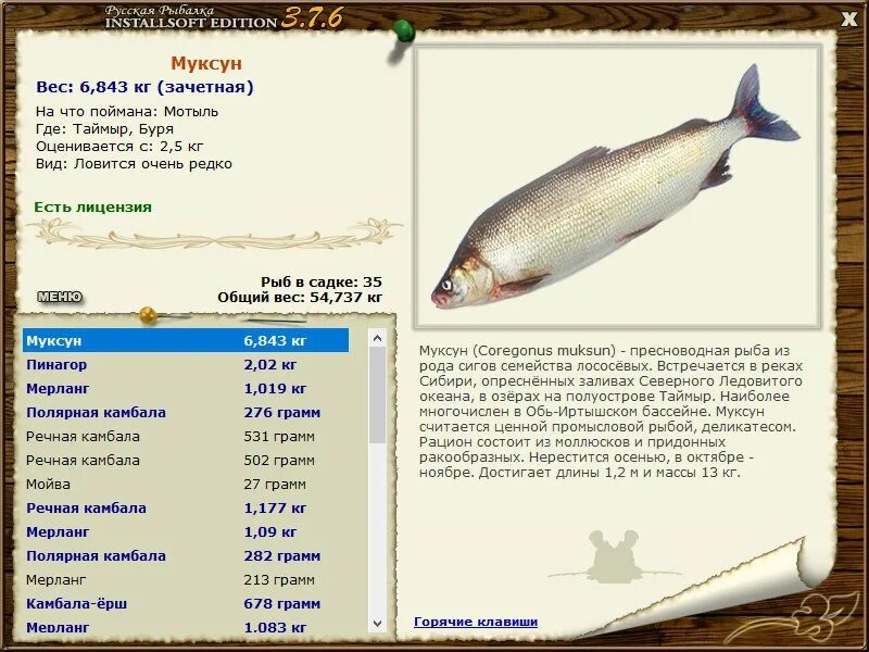 небольшая пресноводная рыба семейства карповых. карп. барбус. рыба рода сигов. рыба подуст рисунок.