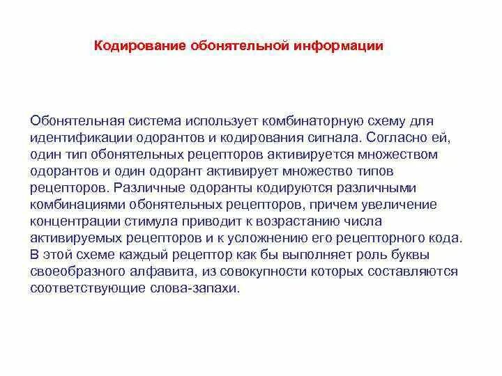Источник обонятельной информации