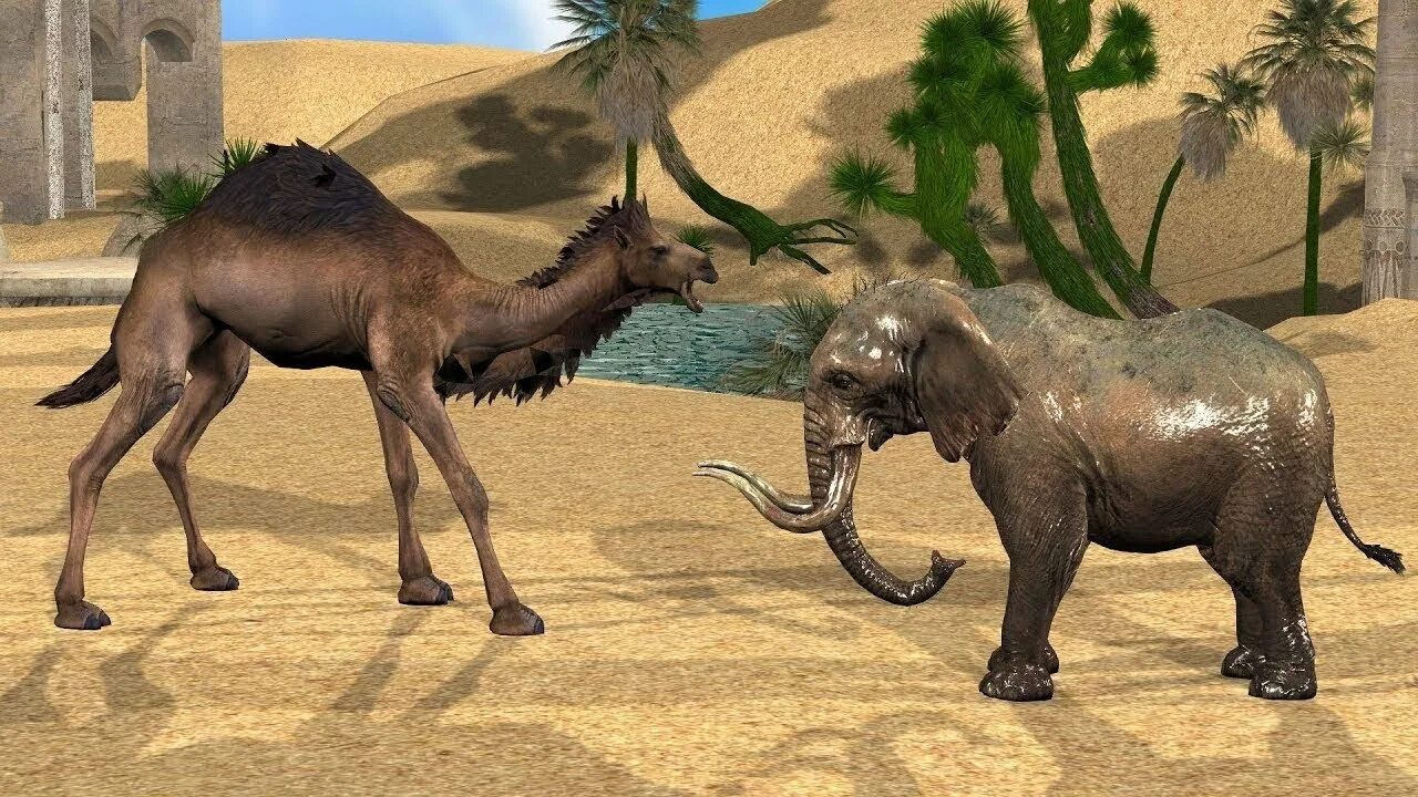 Giraffes are thin than hippos