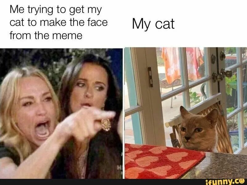 Me trying to explain