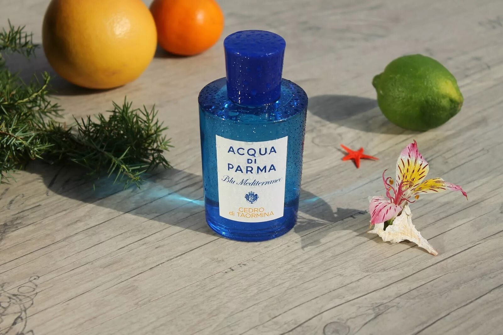 Аква ди Парма fico di Amalfi. Золотое яблоко acqua di Parma fico di Amalfi. Туалетная вода Blu Mediterraneo Mirto di Panarea, 100 мл. Мандорло ди Сицилия Аква ди Парма. Acqua di parma fico