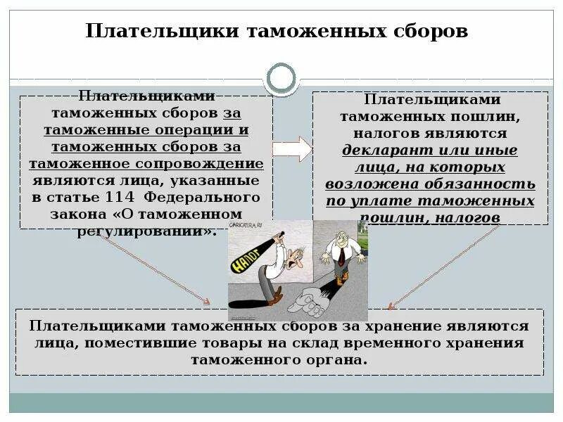 Таможенные пошлины а также налоги. Таможенные пошлины и сборы. Плательщики таможенных сборов. Таможенная пошлина налогоплательщики. Порядок уплаты таможенных сборов.