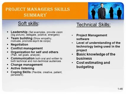 Project skills
