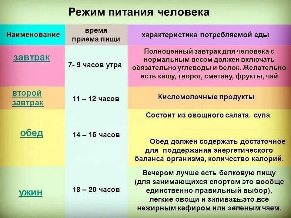 Сколько времени нужно уделять. Правильный режим питания. Правильный грави питания. График нормального питания. Режим питания взрослого человека.