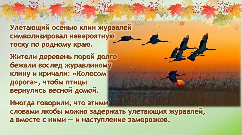 Журавль символ чего в россии. Что символизирует журавль. Журавлиный Клин. Слайд журавлиный Клин. Журавлиный Клин приметы.