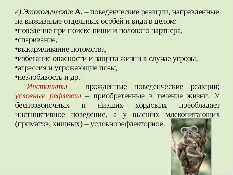 Этологические приспособления примеры. Этологические адаптации примеры. поведенческие реакции примеры. этологический вид адаптации. виды поведенческих реакций.