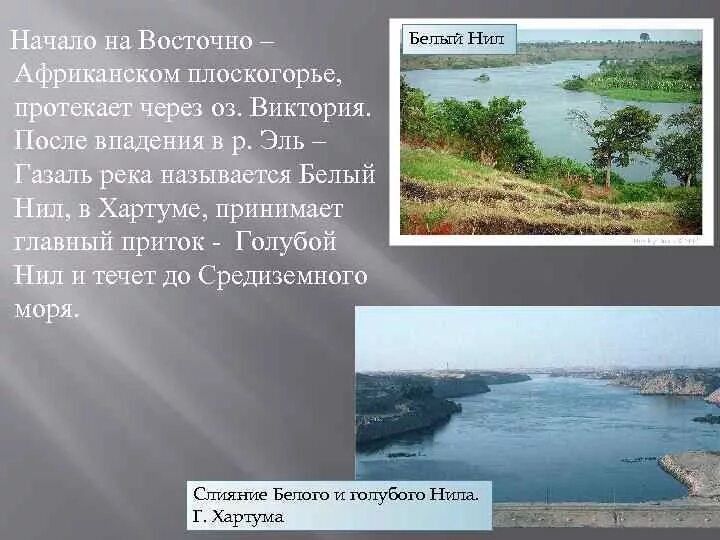 Сколько воды в ниле