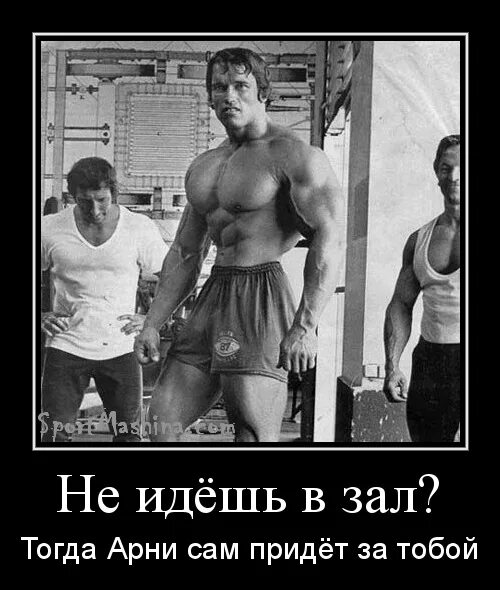 Приходит в зал