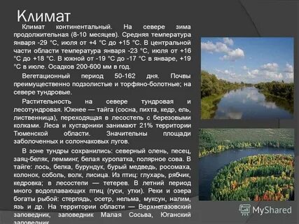 Тюменская область сообщение кратко