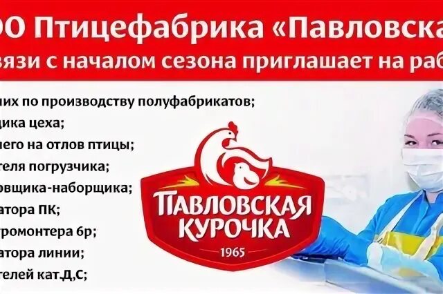 Работа в павловской свежие вакансии