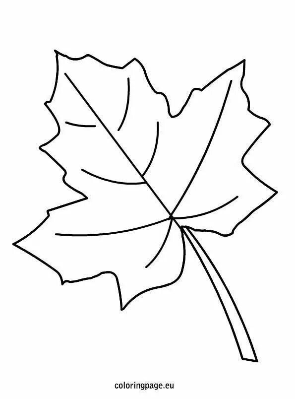Макет кленового листа