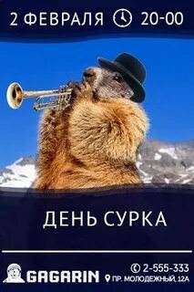 Сурок 2 февраля 2024