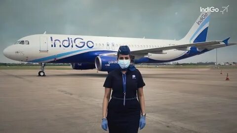 Indigo air