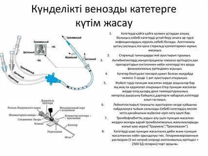 Дәретханадағы қыздар мен әйелдер порносы