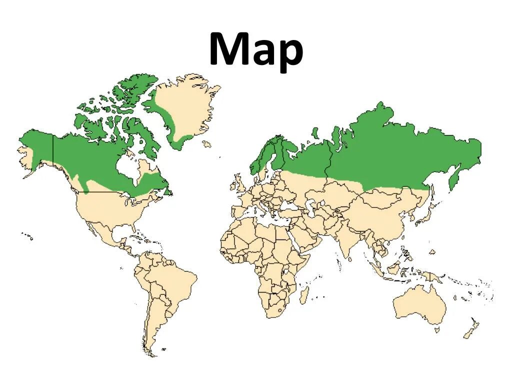 Ореол обитания Северного оленя. Олени ареал обитания на карте. Ареал обитания оленей в России. Ареал Северного оленя.