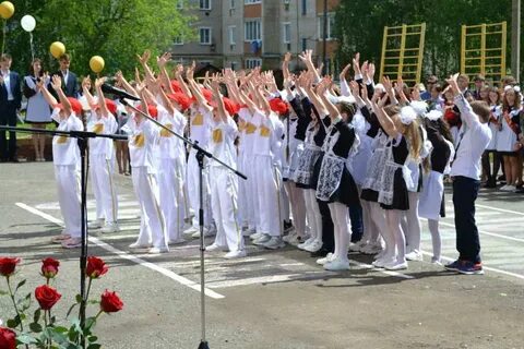 Сетевой мордовия