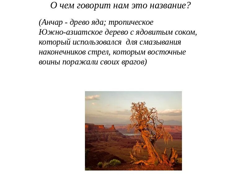 Дерево Анчар Пушкин. Стих Пушкина про дерево Анчар. О произведении Пушкина Анчар. Иллюстрации к стихотворению Анчар Пушкин.