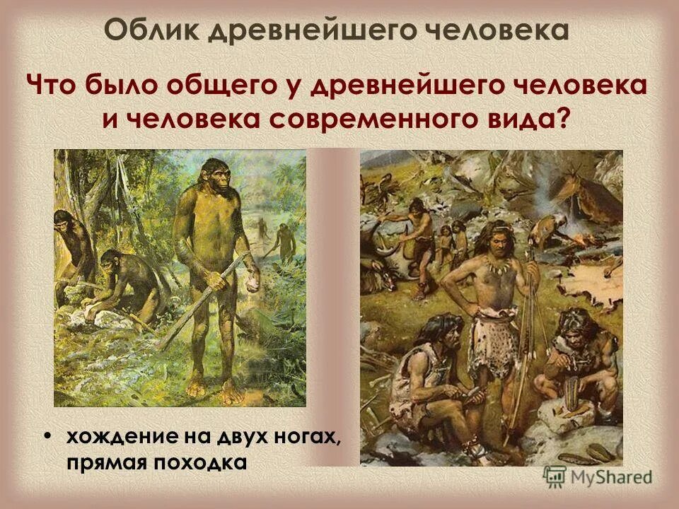 Первобытные люди презентации. Облик древнейшего человека. Облик первобытного человека. Древний человек. Древние и древнейшие люди.