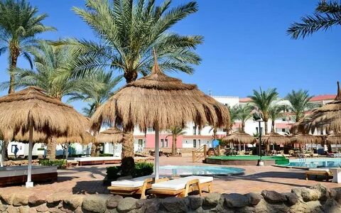 Бич альбатрос шарм шейх